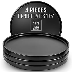 Stoneware Dinner Plates Set of 4, Stylish Matte
