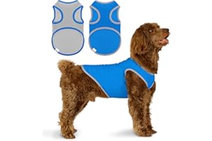 UNIPUP 2 Pack Quick Dry Dog Shirt, Lightweight Mesh Breathable Dog Clothes for Small Dogs Boy,Sun-Protection Sleeveless Shirts for Dog&Cat Puppy Vest Pet Apparel