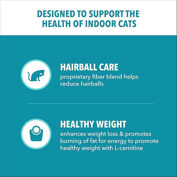 IAMS PROACTIVE HEALTH DRY CAT FOOD, INDOOR WEIGHT AND HAIRBALL CARE CAT FOOD DRY RECIPE, WITH REAL CHICKEN IN EVERY BITE, 16 LB. BAG