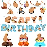 Rakuto Capybara Birthday Party Decorations - 13PCS Capybara Banners with Hanging Swirls Bday Decoration Cute Capy Honeycomb Centerpieces Supplies