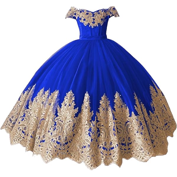Amazon.com: Gualiy Girls Special Occasion Dress, Girl Ball Gown 2-3 Years Royal  Blue Embroidered Tulle Dress with Sequins Bow on Back: Clothing, Shoes &  Jewelry