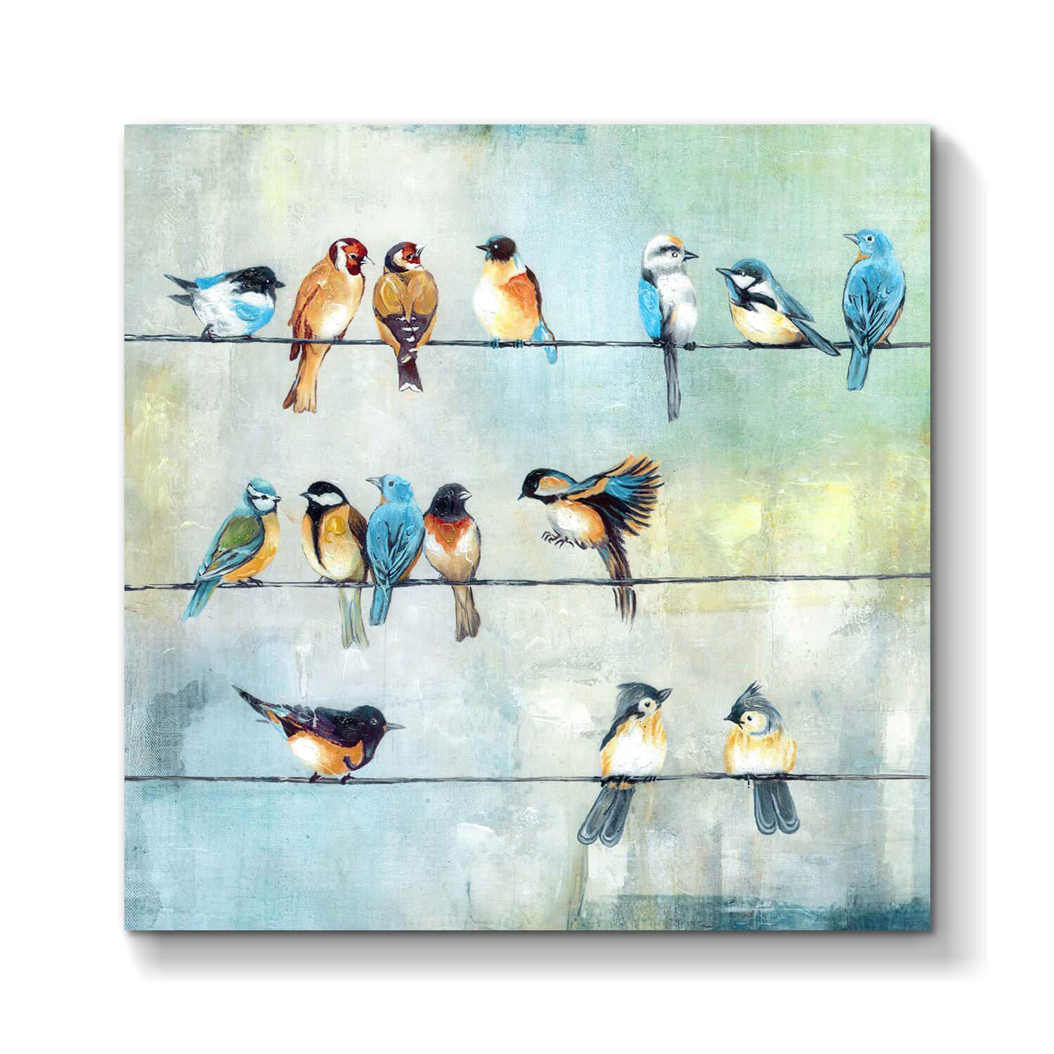 Bird Picture Canvas Wall Art: Colorful Birds Painting on Canvas Artwork for Kids Bedroom ( 24” x 24” x 1 Panel )