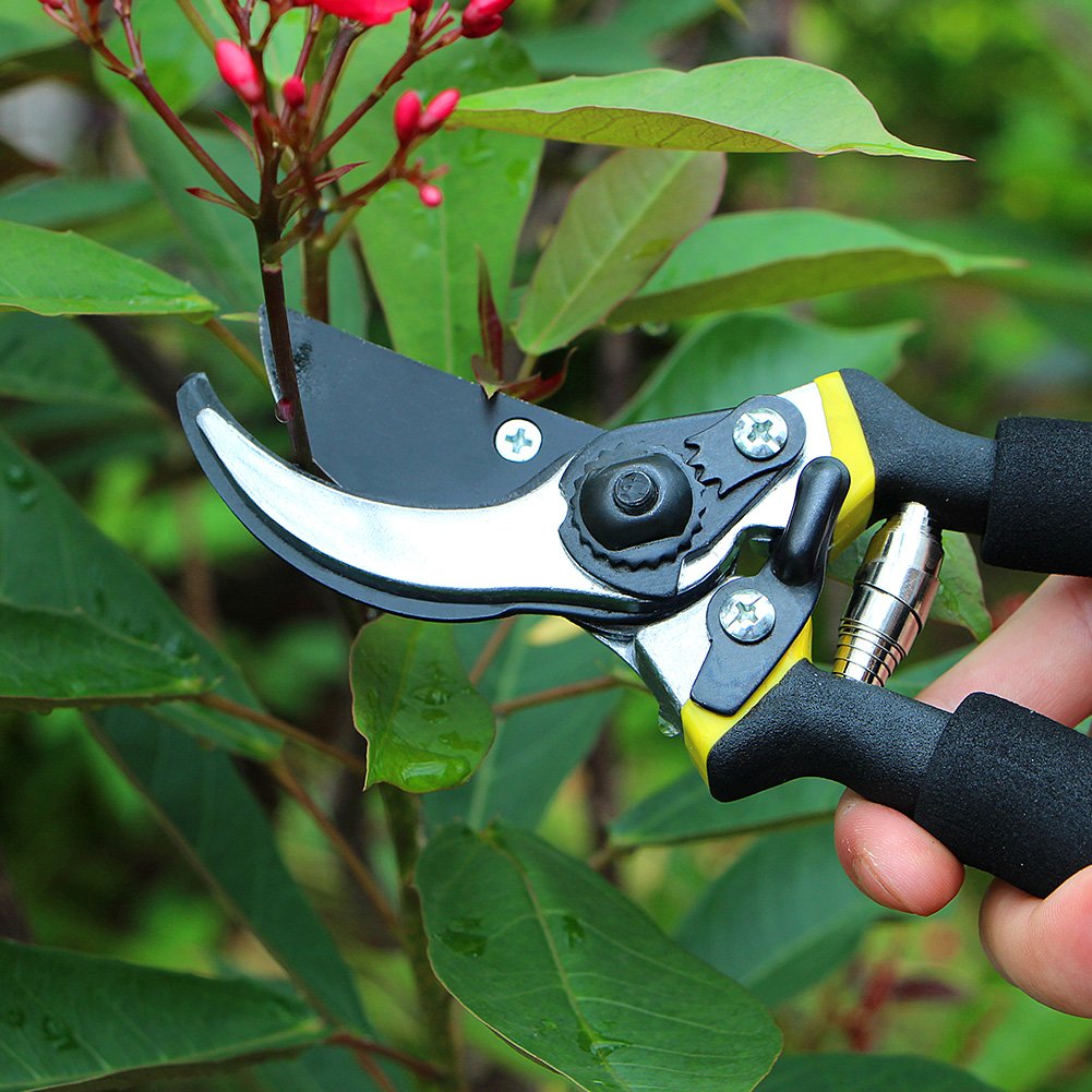 4-FQ Pruning Shears Hand Pruner Professional 8\'\' Premium Titanium Bypass Garden Ratchet Garden Clippers Scissors, Plant Flower SK-5 Steel Blade Cutter for Lawnl