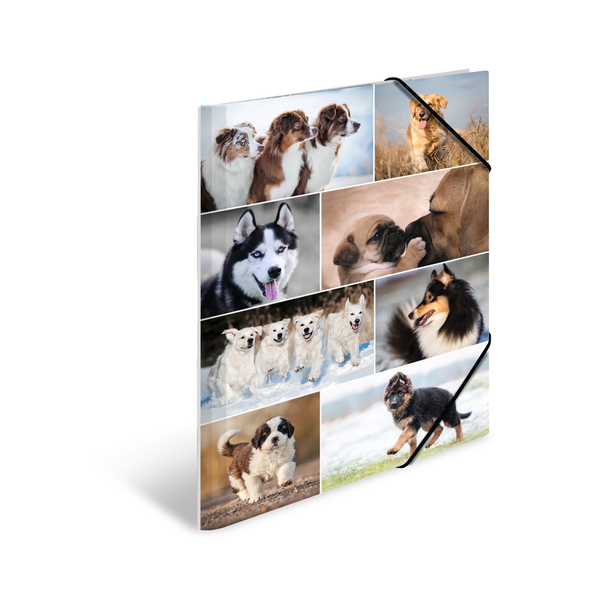 HERMA Elastic Folder Animals with Dogs Motif, A3, Sturdy Cardboard, with Inner Print, 1 Span Folder