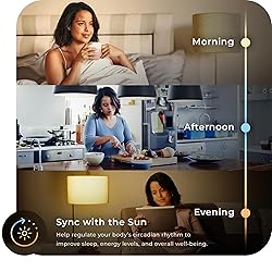 Globe Electric 34207 Wi-Fi Smart 10 Watt