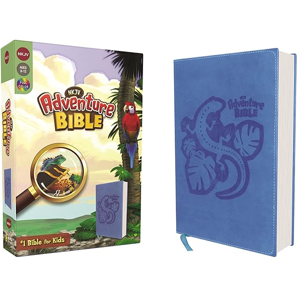 NKJV, Adventure Bible, Leathersoft, Pink, Full Color: Richards