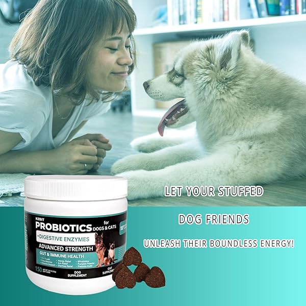 KEBIT PET PROBIOTIC CHEWABLE TABLETS, DOG PROBIOTICS FOR DIARRHOEA RELIEF, SCRATCHING, ALLERGIES AND GUT HEALTH SUPPORT, IMMUNE SUPPORT SUPPLEMENTS （CHICKEN FLAVOUR 150PCS）