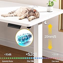Veken 55 Inch Large Electric Standing Desk,Sit to