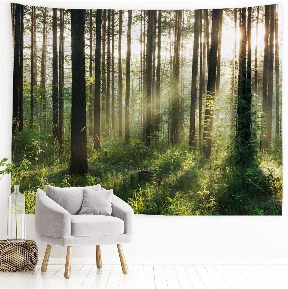 Tapestries - PROCIDA Forest Tree Tapestry Nature Landscape Tapestry Sunshine Through Tree Tapestries Wall Hanging Green Fresh Woodland Scenery for Bedroom Ceiling Aesthetic Decoration, 90 W x 71 H inch, Sunlight Forest