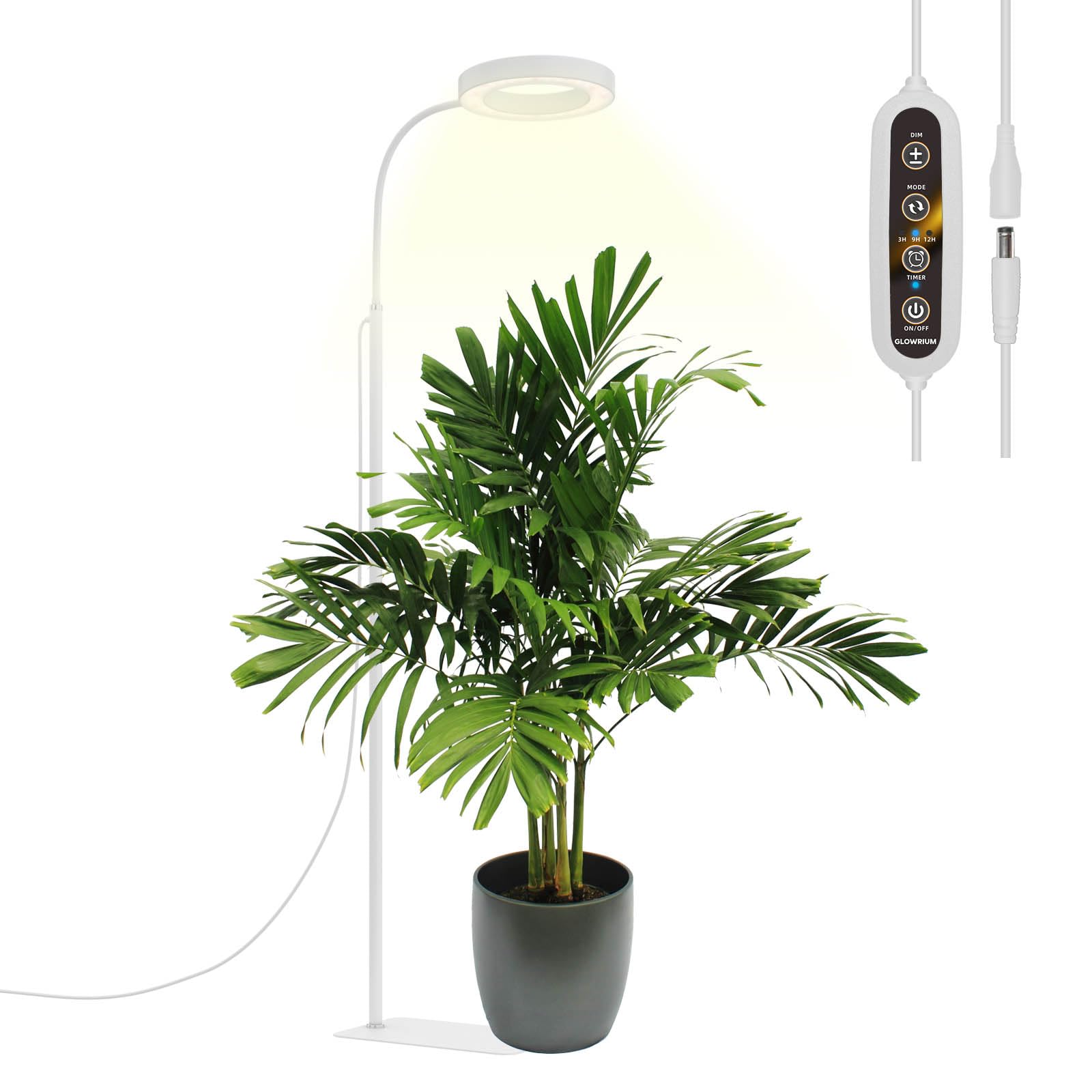 Photo 1 of GLOWRIUM Grow Lights for Indoor Plants, Full Spectrum LED Grow Light Floor Lamp with Stand Adjustable Height and Angle, Black Plant Light with 3/9/12H Grow Light Timer (White, 20W)