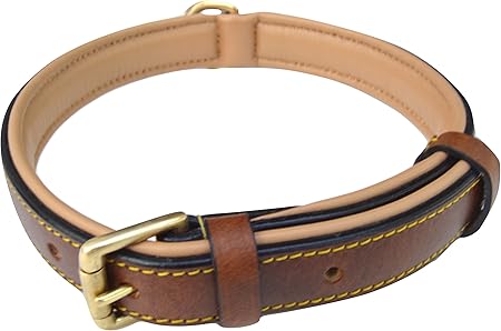 soft touch collars padded leather dog collar