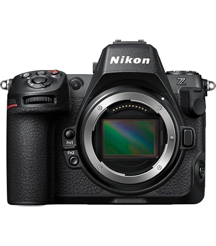 約4.9万ショット‼︎】Nikon Z6 ボディ 本体 Zシリーズ（Nikon） Nikon 