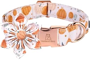 Lionheart glory Premium Dog Collars, Dog Collar with Flower Heavy Duty Adjustable Halloween Dog Collar with Flower for Large Dogs