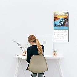 July 2025- December 2026 Pugs Wall Calendar 18