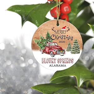 Merry Christmas Tree Decorations Ornaments 2020 - Ornament Hometown Blount Springs Alabama AL State - Keepsake Gift Ideas Funny Ornament 3