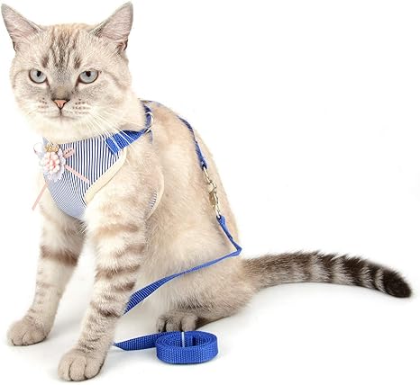 Selmai Harnais Chien Petite Taille Rayures Maille Douce Harnais Chat Adulte Et Laisse Reglable Anti Traction Pour Chaton Grande Moyen Chiots Mignons Fille Garcon Chihuahua Marcher En Plein Air Bleu S Amazon Fr