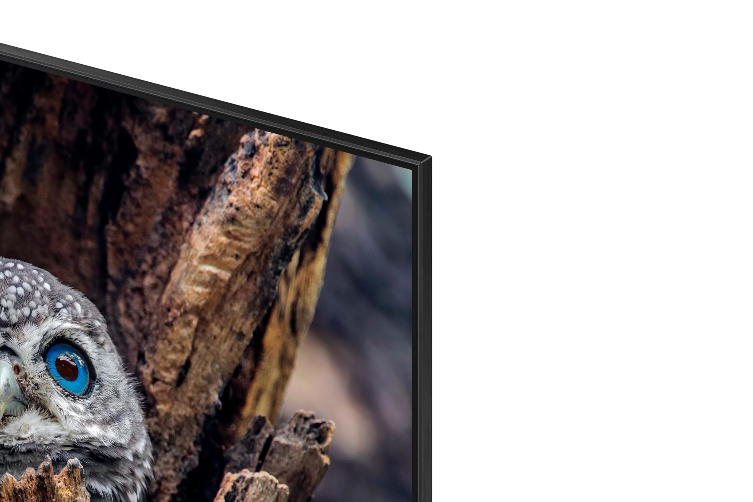 Samsung QN75Q80DDFXZA 75