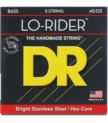 Amazon.com: DR Strings FAT-BEAM Bass Guitar Strings (FB5-45