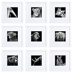 HEART ART 10x10 White Picture Frames set of