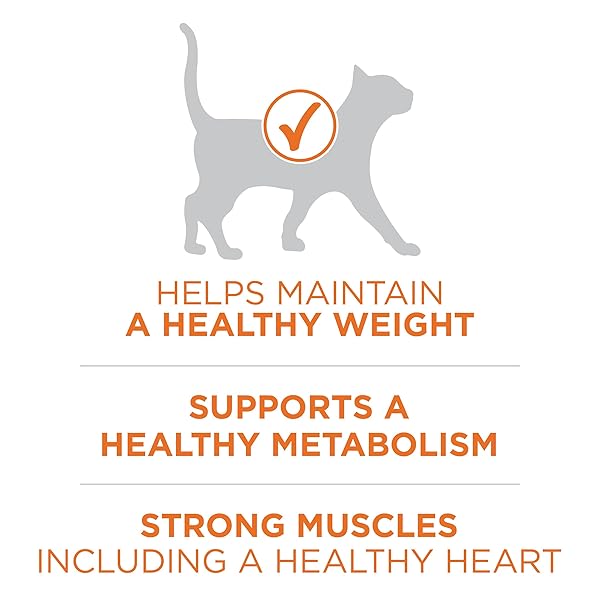 PURINA ONE HIGH PROTEIN, HEALTHY WEIGHT PLUS IDEAL WEIGHT WITH CHICKEN DRY CAT FOOD – 3.5 LB. BAG