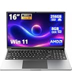 Amazon.com: Lenovo ThinkPad L460 14.0