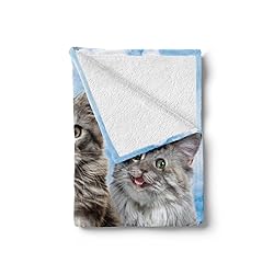 Ambesonne Kitty Throw Blanket, Kitten Cat's
