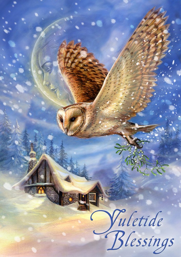 Briar The Snow Bringer - Owl & Mistletoe Fantasy Gothic Art Christmas Card