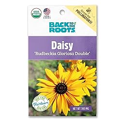 Back to the Roots 100% Organic Seed Packet - Daisy