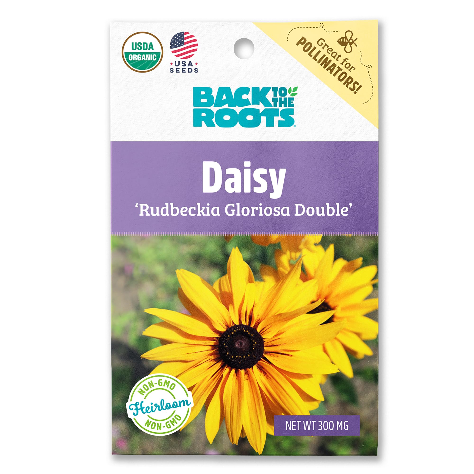 Back to the Roots 100% Organic Seed Packet - Daisy