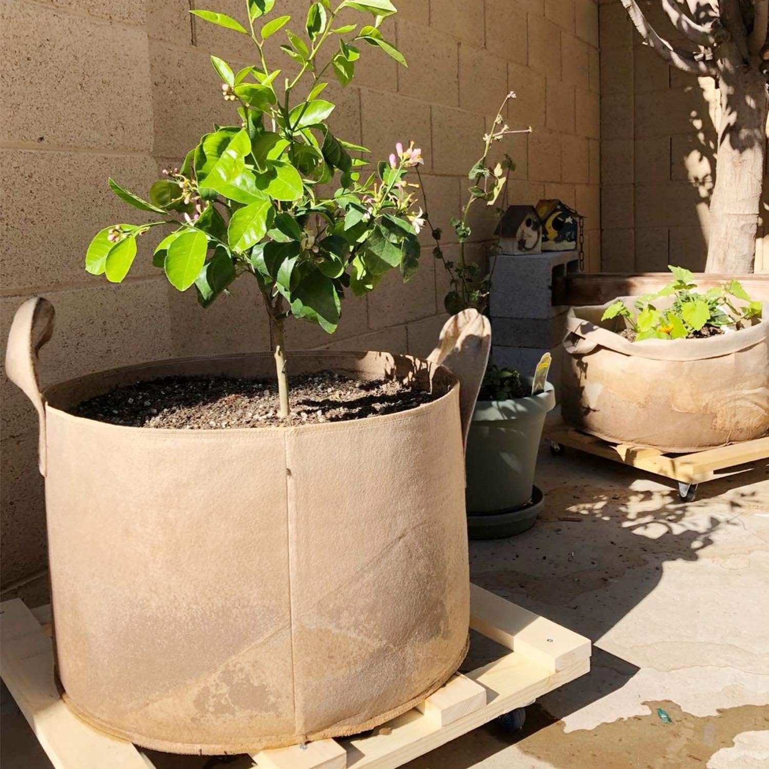 PEYOU Bolsa de Cultivo de Plantas 45L(5 Piezas), Saco para Plantas ...