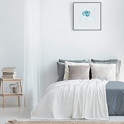 Thesis Fleece Blanket Queen Blanket for Bed Ivory