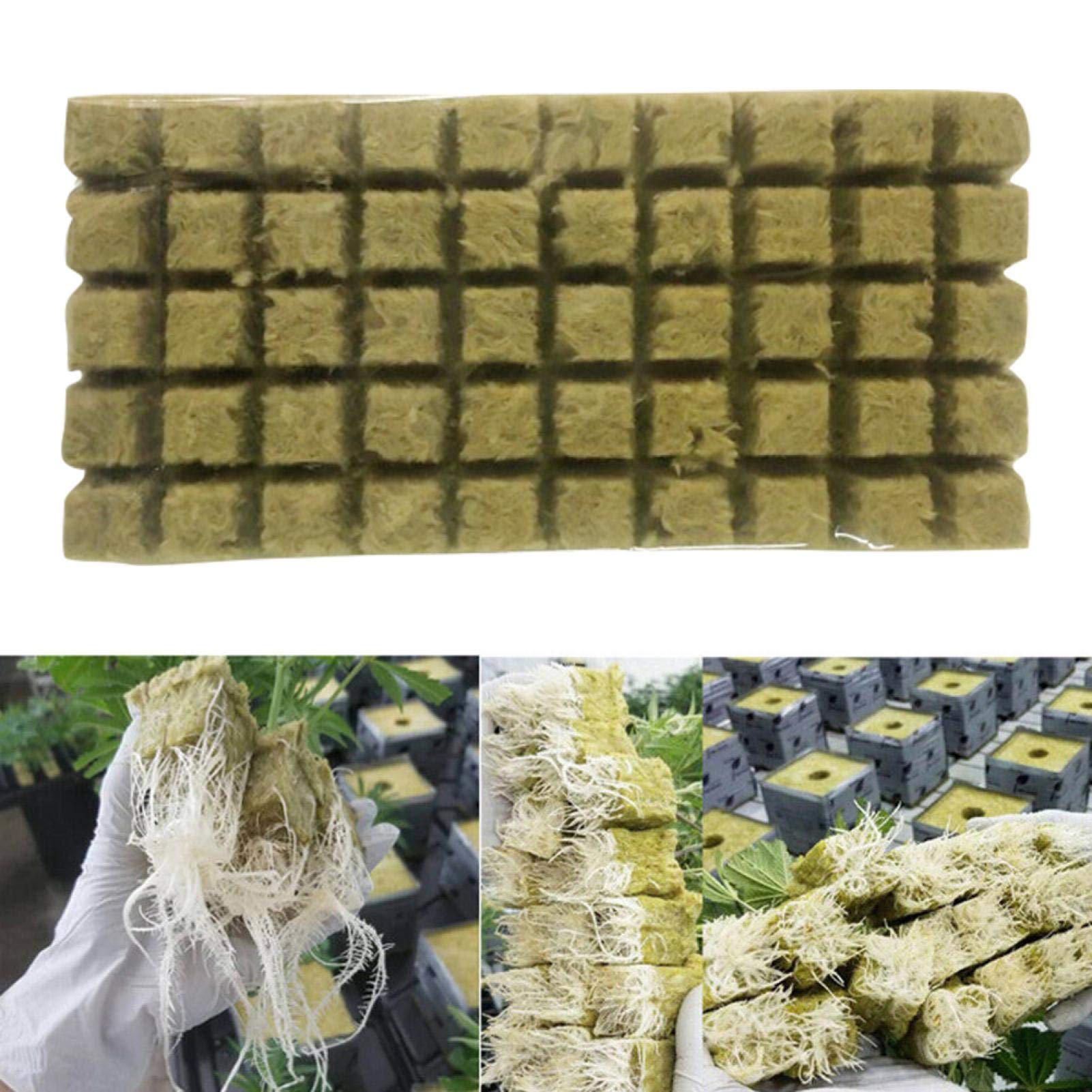 ANAJOY 50 or 100 Holes Rockwool Grow Cubes, Hydroponic Growing Greenhouse Soilless Cultivation Mini Compress Base Stonewool Starter Cubes for Plants Starting/Root Cuttings/Plant Growth(50 Holes)