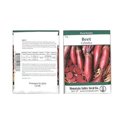 suneducationgroup.com 250 Beta vulgaris Sugar Beet 3000 Seeds 1500