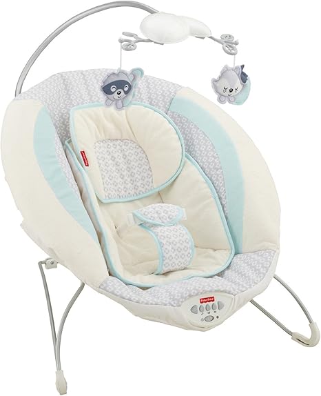fisher price bear bouncer