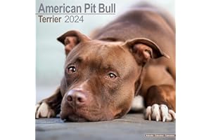 American Pit Bull Terrier Calendar - Dog Breed Calendars - 2023 - 2024 wall calendars - 16 Month by Avonside