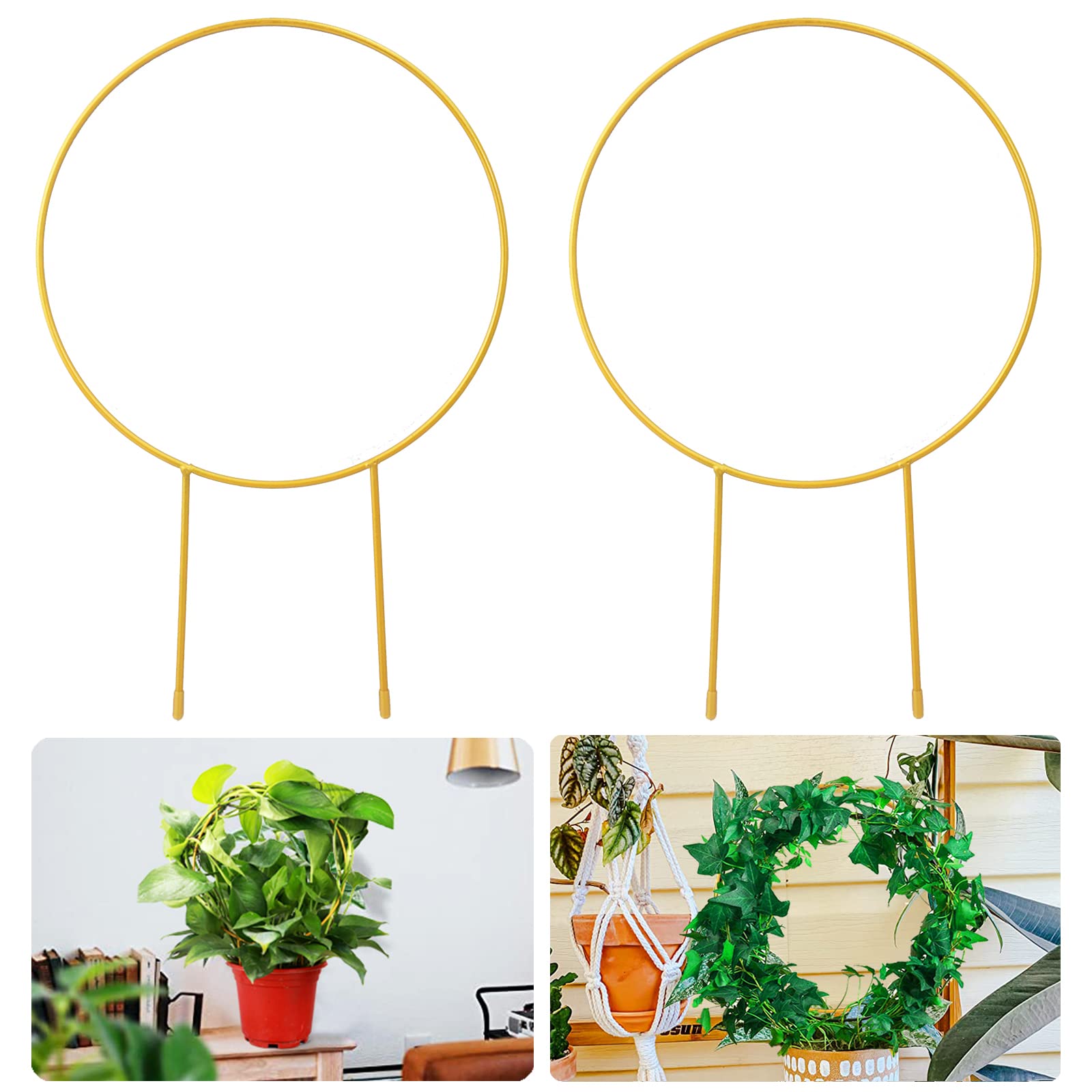 Photo 1 of 2 Pack Circle Trellis for Climbing Plants Indoor, 15" Gold Small Plant Support Stakes, Flower Houseplant Hoya Support for Potted Plants & Garden Stem Vines