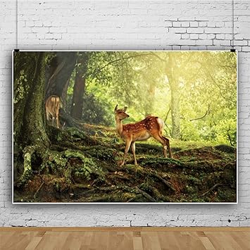 Amazon Com Dashan 7x5ft Fairytale Forest Backdrop Deers