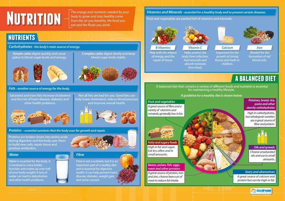 Daydream Education Nutrition | Design & Technology Posters | Gloss Paper measuring 850mm x 594mm (A1) | Design and Technology Classroom Posters | Education Charts