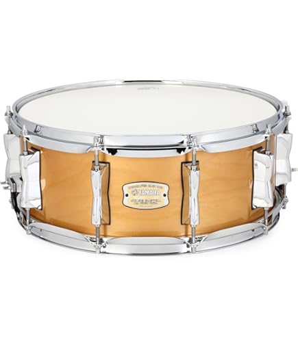 Snare Custom 6インチ 71zM-BWEVnL._UF350,350_QL50_.jpg
