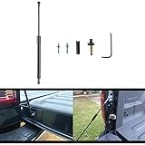 Amazon Com Dee Zee Dz43102 Truck Tailgate Assist Black