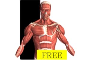 Visual Anatomy Free