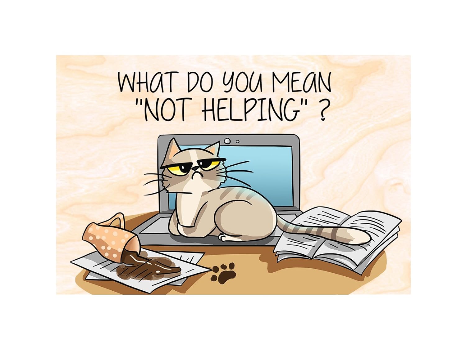 Divertido regalo para gatos.. Imanes para nevera imanes de nevera ...