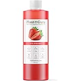Strawberry Fragrance Oil 8 fl. oz. Scented Oil for DIY Soap Making, Candles, Bath Bombs, Body Butters. Used in Aromatherapy Diffusers, Burners and Warmers. Great Addition to Lotions and Creams.