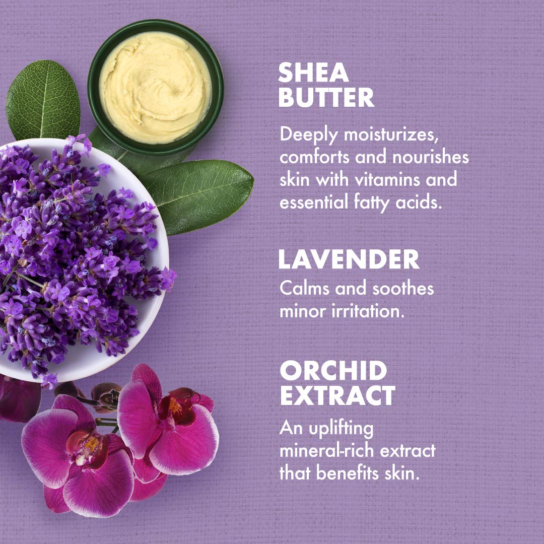 SheaMoisture Bath, Body & Massage Lotion & Oil Moisturizer for Sensitive Skin Lavender Wild Orchid Shea Butter 8 oz : Shea Moisture Lavender Wild Orchid : Beauty