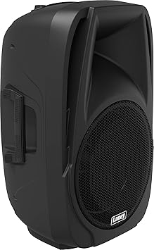 laney speaker price