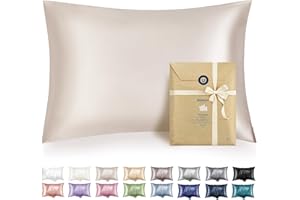 Bedsure Satin Pillowcase with Zipper, Similar to Silk Pillow Cases 2 Pack, Silky & Soft Satin Pillow Case Standard Size for Hair and Skin, Christmas Room Decor Gifts for Women Men, Beige, 20x26 Inches