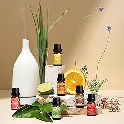 SALUBRITO Fresh Fruit Fragrance Oils Set, Essential