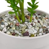 Hisredsun 2.1 lb Decorative Stones 6-9mm Mixed Jade Pebbles view 2