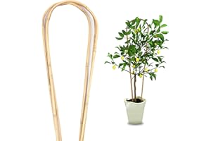 Cambaverd 3PCS Natural Bamboo Trellis 3ft for Climbing Plants Indoor Outdoor, Garden Arch Trellis Support for Potted Plants Bamboo U Trellis for Vines Ivy Climbing Flowers