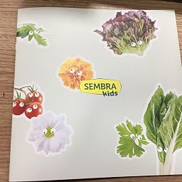 SEMBRA - juego educativo, Kit huerto Flores: Amazon.es: Jardín